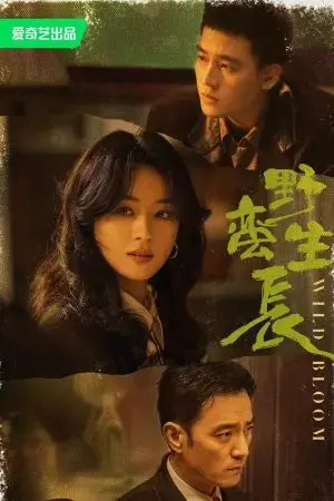 Gió Thổi Bán Hạ (Dã Man Sinh Trưởng) Gió Thổi Bán Hạ (Dã Man Sinh Trưởng)