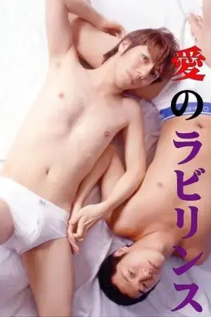 Mê cung tình yêu Mê cung tình yêu