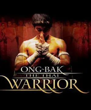 Nhất Mực Gả Cho Chàng