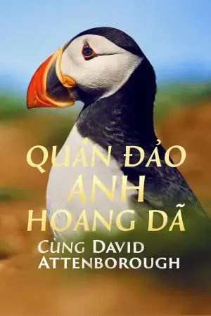 Quần Đảo Anh Hoang Dã Quần Đảo Anh Hoang Dã